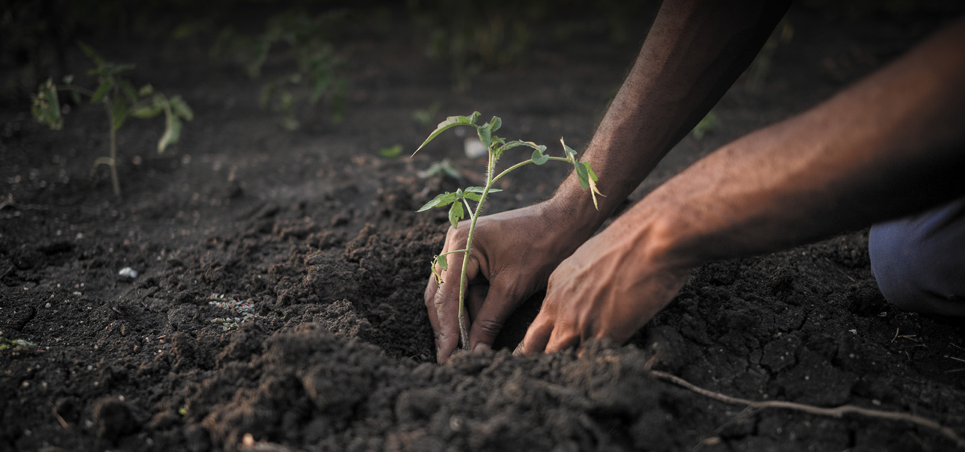 Agricultural